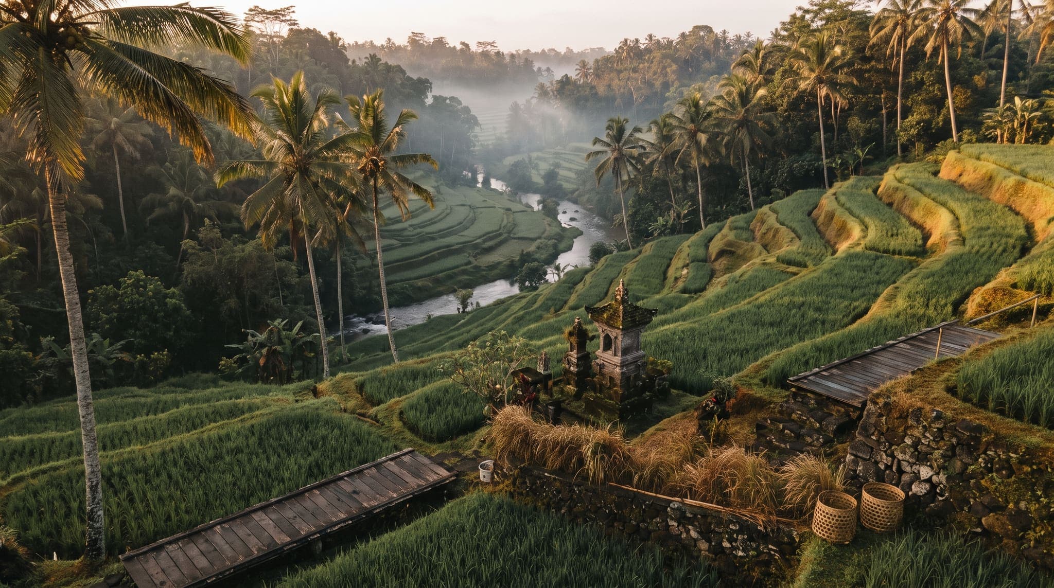 Rice fields and tropical forest near Ubud